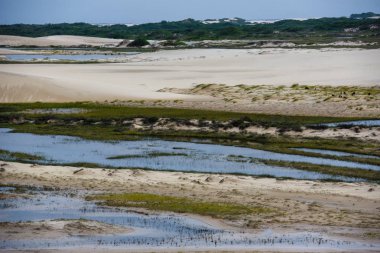 Lagün ortasındaki tepeleri, Brezilya'da Lencois Maranhenese Milli Parkı