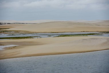 Lagün ortasındaki tepeleri, Brezilya'da Lencois Maranhenese Milli Parkı
