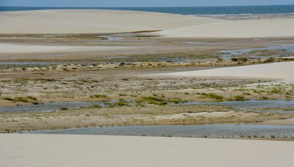 Laguna Medio Las Dunas Parque Nacional Lencois Maranhenese Brasil —  Fotos de Stock