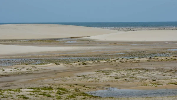 Laguna Medio Las Dunas Parque Nacional Lencois Maranhenese Brasil —  Fotos de Stock