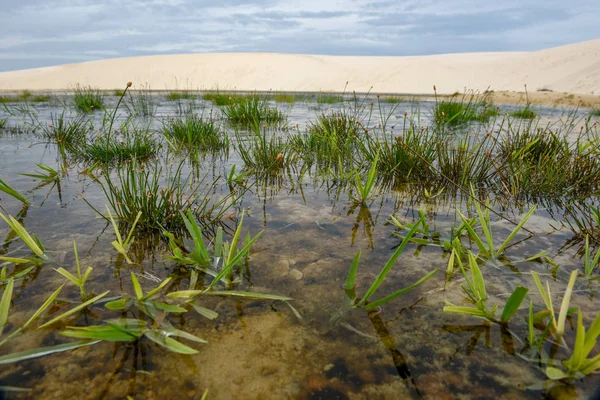 Lagün ortasındaki tepeleri, Brezilya'da Lencois Maranhenese Milli Parkı