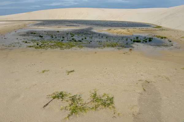 Laguna Medio Las Dunas Parque Nacional Lencois Maranhenese Brasil — Foto de Stock