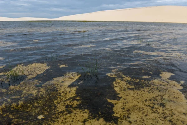 Laguna Centro Delle Dune Del Parco Nazionale Lencois Maranhenese Brasile — Foto Stock