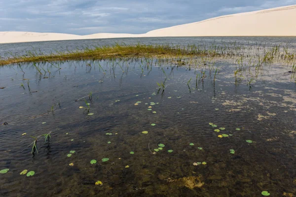 Lagün ortasındaki tepeleri, Brezilya'da Lencois Maranhenese Milli Parkı
