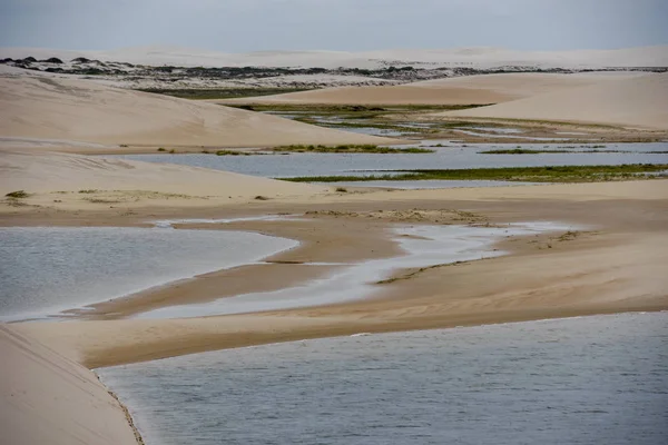 Laguna Medio Las Dunas Parque Nacional Lencois Maranhenese Brasil —  Fotos de Stock