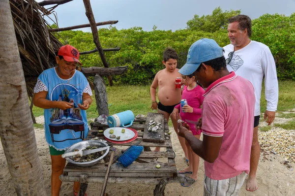 Atins Brésil Janvier 2019 Personnes Préparant Des Huîtres Atins Brésil — Photo