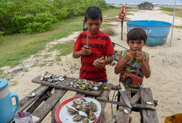 Atins Brazil January 2019 Childs Eating Oysters Atins Brazil — Stock Photo, Image