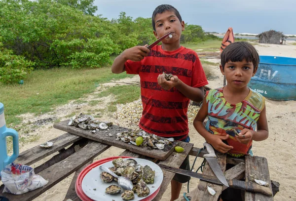Atins Brazilië Januari 2019 Childs Oesters Eten Bij Atins Brazilië — Stockfoto