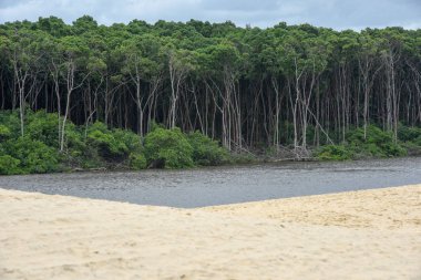 Barreirinhas Nehri Preguicas, Brezilya için Atins