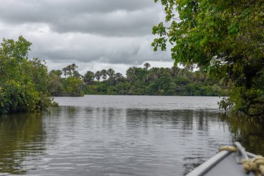 Barreirinhas Nehri Preguicas, Brezilya için Atins