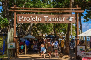 Brezilya 'da Praia do Forte 'de Tamar projesi 'nin girişi