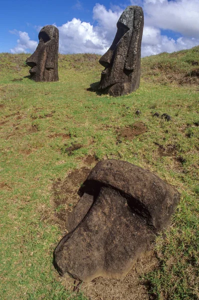 Moais statues on easter island, Chile — Stock Photo, Image