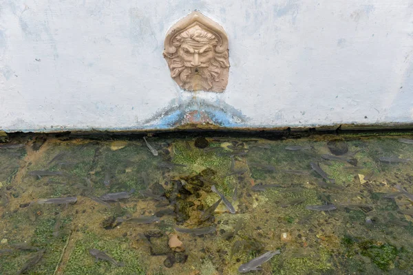 Fuente histórica en sao luis de maranhao en Brasil — Foto de Stock