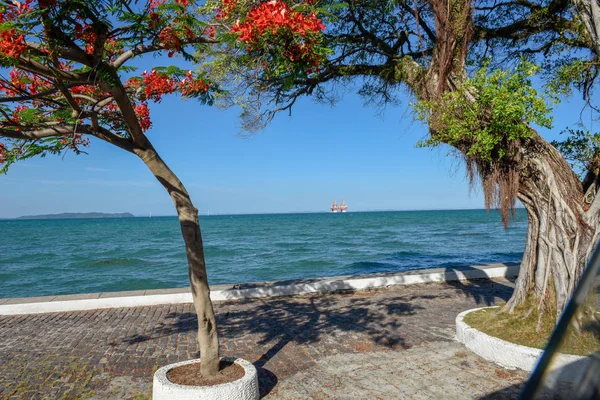 De kust op het eiland Itaparica in de buurt van Salvador Bahia, Brazilië — Stockfoto