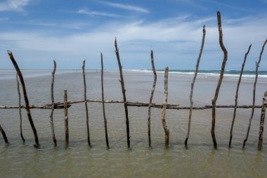 Plajdan sese doğru gerilmiş balık tuzağı için ahşap direk.