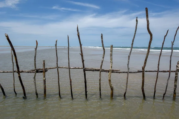 Stâlp de lemn pentru capcana de pește plasă întinsă de la plajă în se — Fotografie, imagine de stoc