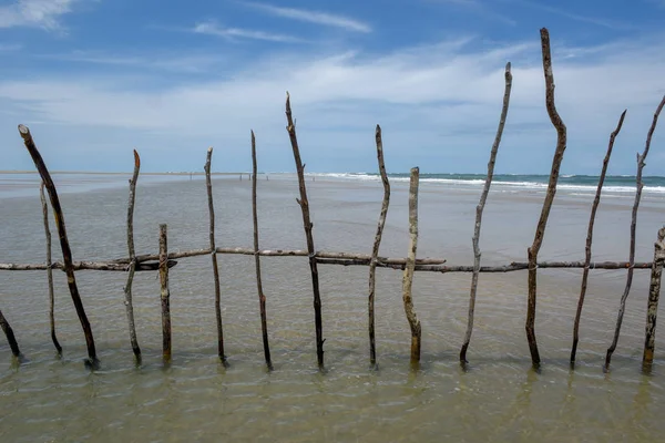 Bâton en bois pour tendu piège à poissons filet de la plage dans le se — Photo