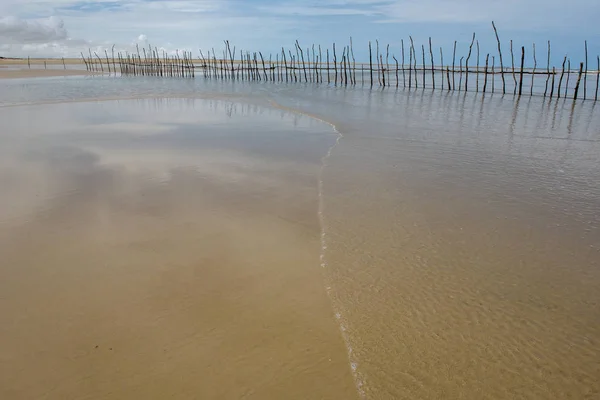 Drewniany słup do rozciągliwej pułapki na ryby z plaży do se — Zdjęcie stockowe