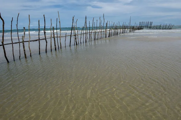 Holzstange für Spannnetzfischfalle vom Strand in den See — Stockfoto