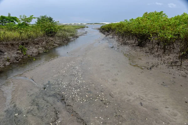 Stranden av ön framför Atins, Brasilien — Stockfoto