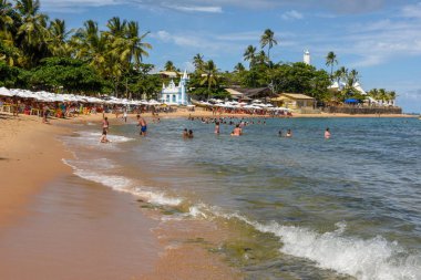 Brezilya'da Praia do Forte'da güneşlenen ler