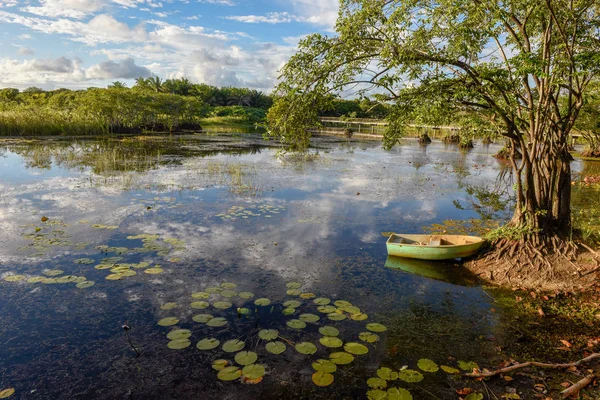 Lake at Praia do Forte in Brazil — Stock Photo, Image