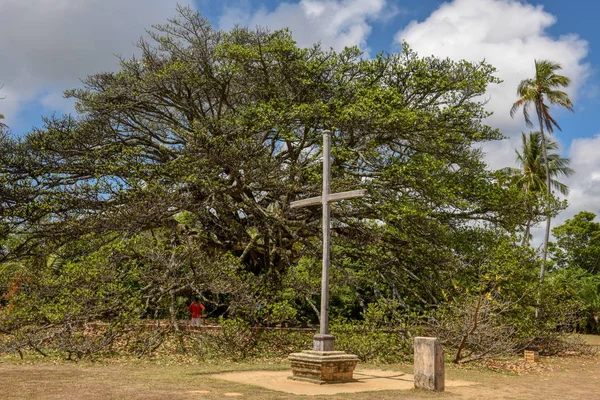 Árbol gigante del castillo García D 'Ávila cerca de Praia do Forte, Brasil — Foto de Stock