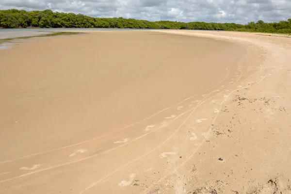 Wybrzeże Sauipe na Bahia, Brazylia — Zdjęcie stockowe