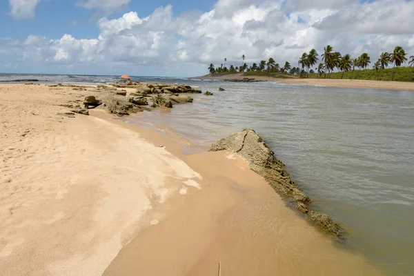 The coast of Sauipe on Bahia, Brazil — Stock Photo, Image