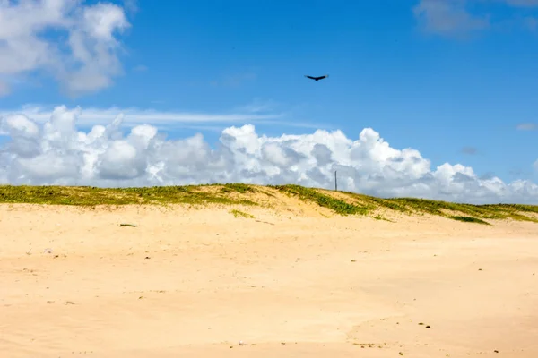 Sauipes kust på Bahia, Brasilien — Stockfoto