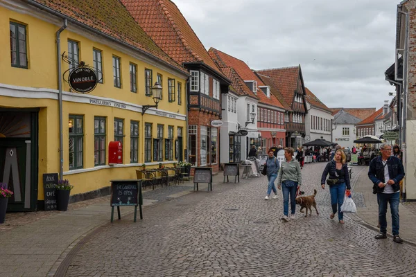 El tradicional pueblo histórico de Ribe en Jutlandia en Dinamarca — Foto de Stock