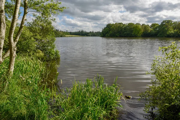 Landskapet av sjön i Vestbirk i Danmark — Stockfoto