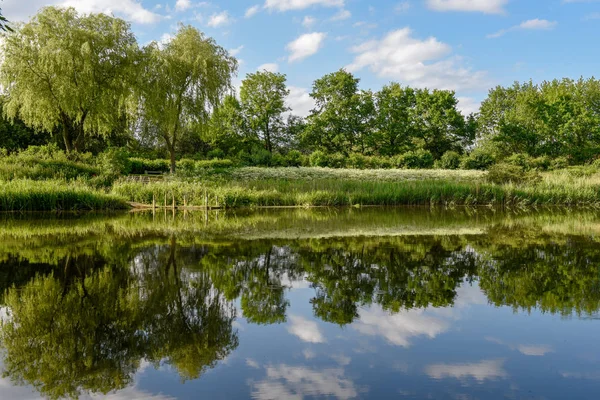 Landskapet av sjön i Vestbirk i Danmark — Stockfoto