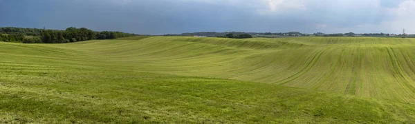 Paysage d'une prairie verte au Danemark — Photo