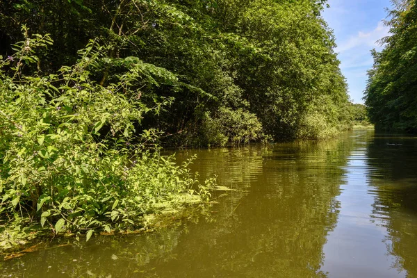 Landskapet av sjön i Vestbirk i Danmark — Stockfoto