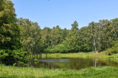 İsveç'te M lle yakınlarındaki Kullaberg Gölü