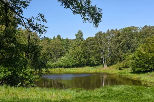 Lago di Kullaberg vicino a Molle in Svezia — Foto Stock