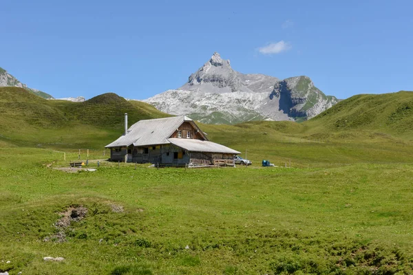 スイスアルプスのエンゲルベルクのタネン — ストック写真