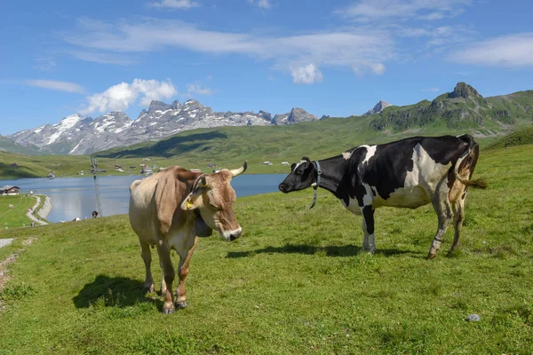 Aldeia montanhosa de Melchsee-Frutt nos Alpes Suíços — Fotografia de Stock