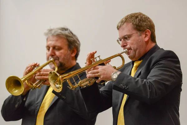 Konzert der Blasinstrumente bei montagnola in der Schweiz — Stockfoto