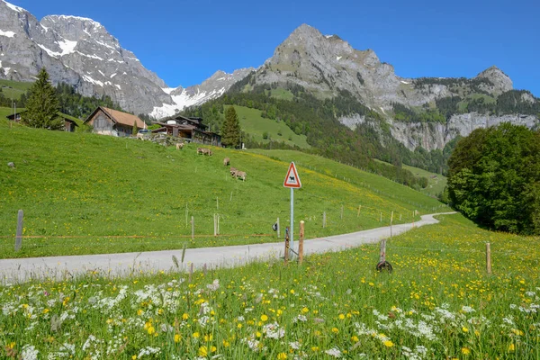 Paisaje con señalización de la vaca en Engelberg en los Alpes suizos —  Fotos de Stock