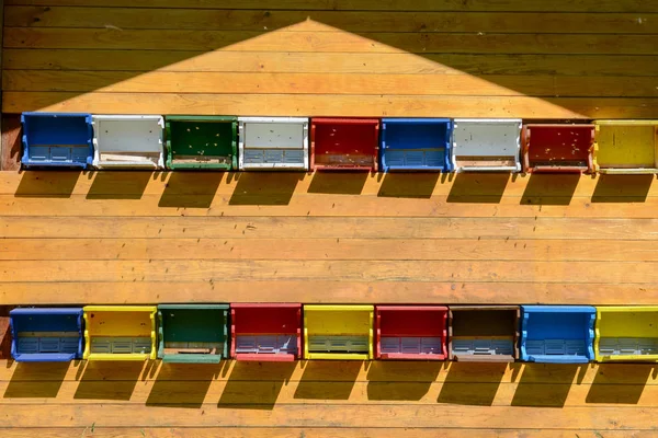 Ruches d'abeilles sur une maison en bois dans les Alpes suisses — Photo