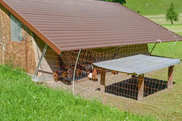 Chicken farm at Grafenort on Switzerland