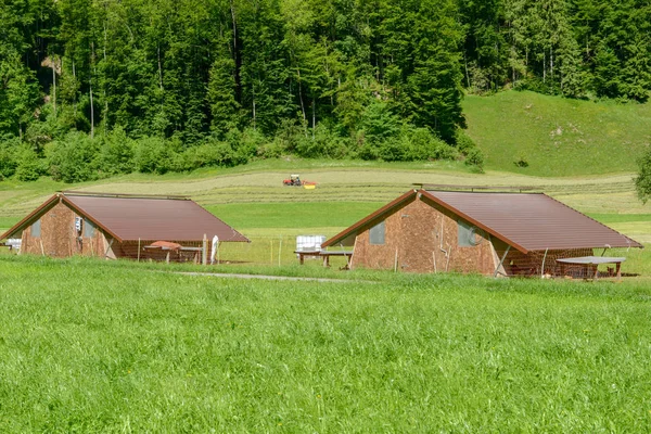 Fazenda de frango em Grafenort na Suíça — Fotografia de Stock