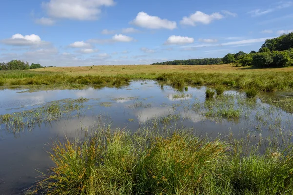 Landskap med damm på landet i Danmark — Stockfoto