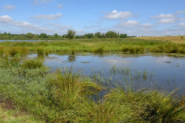 Landskap med damm på landet i Danmark — Stockfoto