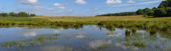 Paesaggio con uno stagno sulla campagna in Danimarca — Foto Stock