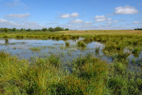 Paesaggio con uno stagno sulla campagna in Danimarca — Foto Stock