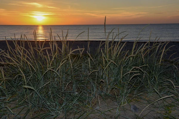 Захід сонця на пляжі Гіллеле (Данія). — стокове фото