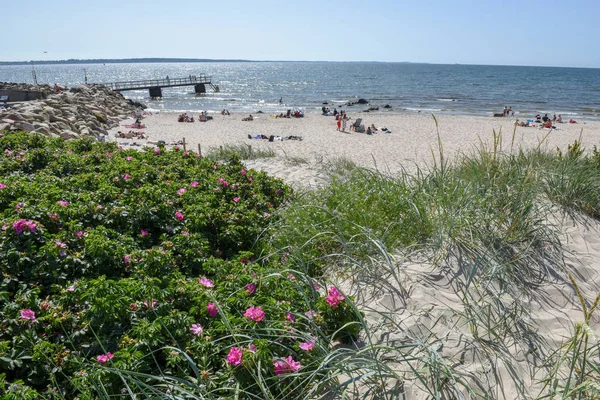 Uitzicht op het strand van Domsten in Zweden — Stockfoto